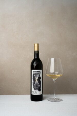 Welschriesling Ried Stermetzberg 2019 – BIO