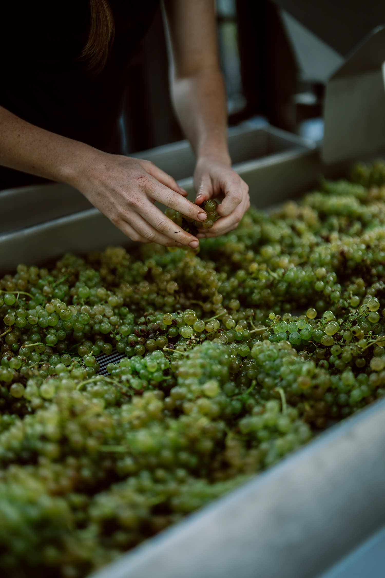 weingut
